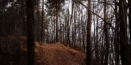 Moonbeam Mysteries: A Sunset Point Full Moon Hike