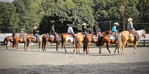 TMSTAR Ranch,Reining,Pleasure Show