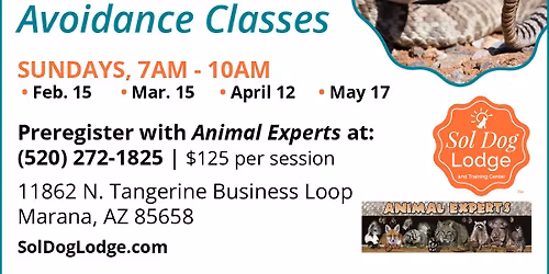 Rattlesnake Avoidance Sessions at Sol Dog Lodge