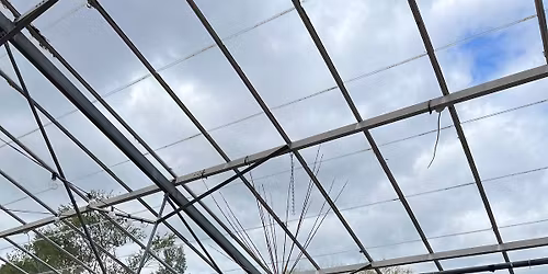 Garden Obelisks @ Baylon Eco