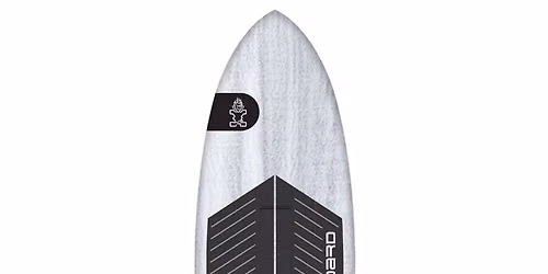Twin Fin