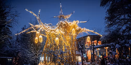 V\u00e1no\u010dn\u00ed jarmark v SAFARI PARKU a rozsv\u00edcen\u00ed baobabu