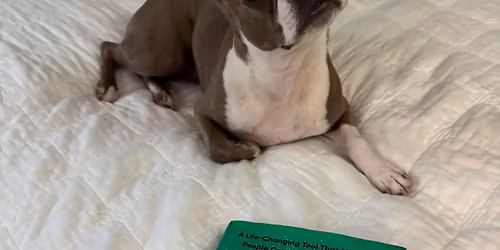 WELLNESS BOOK CLUB- NEW LAUNCH