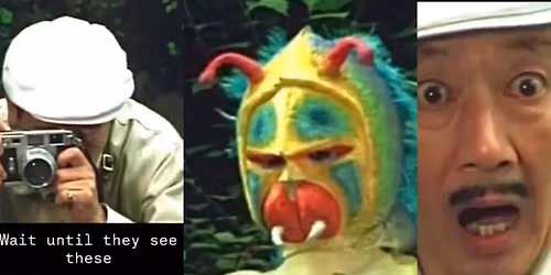 DEDD HORSEMEN \/ GRACKLZ \/ LITTLE CAT