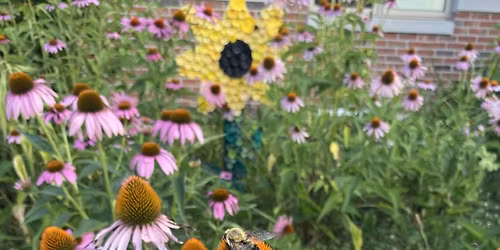 3rd Annual Native Plant Sale - Eastside Indy