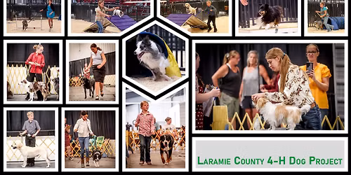 Outdoor Dog Practice (Weather Permitting)