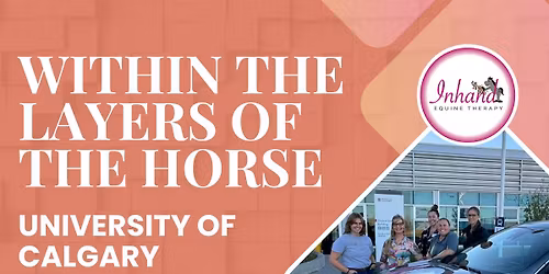 Within the Layers of the Horse Part II