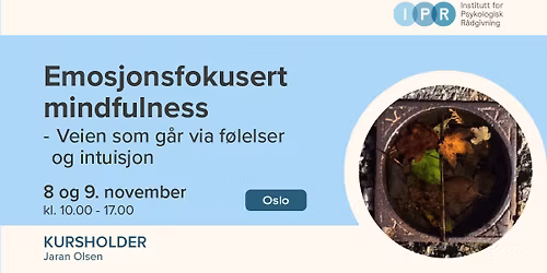 Helgekurs i Emosjonsfokusert mindfulness