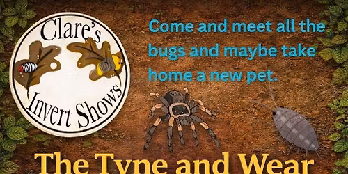 Clare\u2019s Invert Show