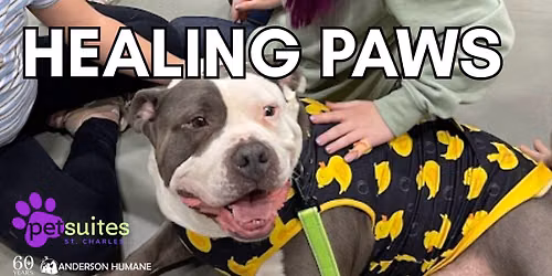 Healing Paws Evaluation