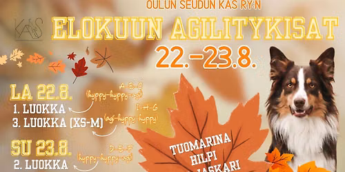 KAS ry:n elokuun agilitykilpailut