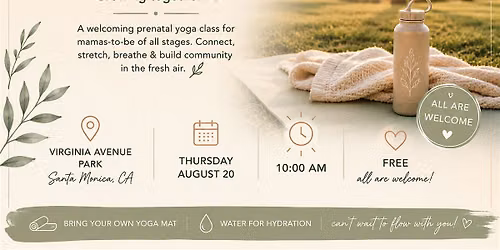 Prenatal yoga in the park
