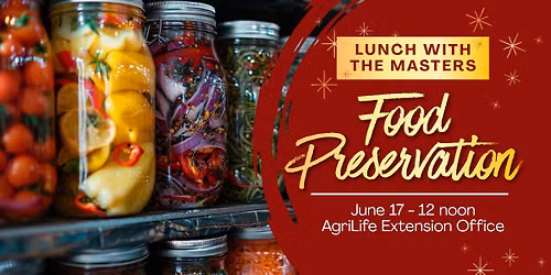 Food Preservation - Lunch with the Masters