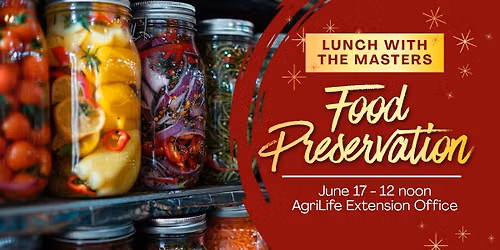 Food Preservation - Lunch with the Masters