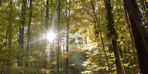 Earth & Village Summer Day Retreat