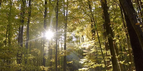 Earth & Village Summer Day Retreat