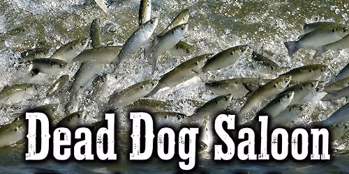 Dead Dog Saloon