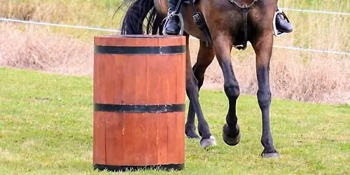 Working Equitation Franklin Obstacle Practice Day