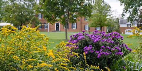 Mindfulness Walk: Garden Golden Hour