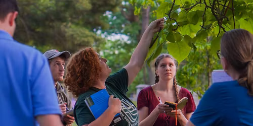 Tree ID Walk