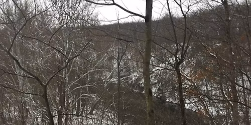 First Day of Winter @ The Hundred Acre Wood