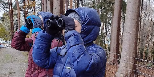 Beginners Guide to Garden Birds