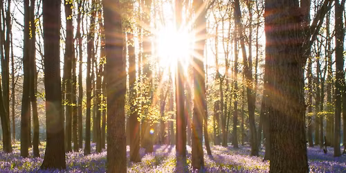 Ancient Hearts Collective - May Nature Gathering