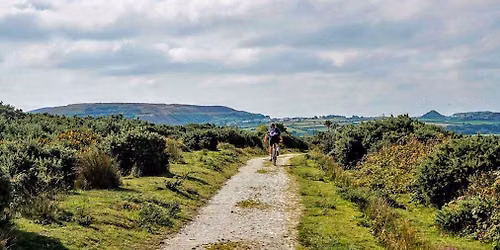 Cornwall Grit