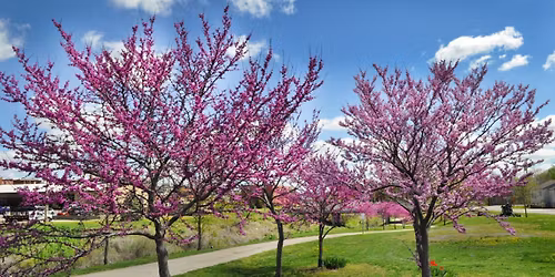 Three Mile Creek Clean Up