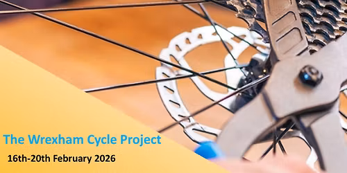 Level 2 Bike Maintenance