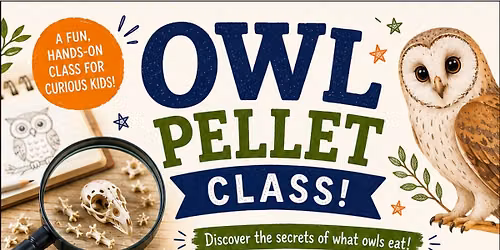 Owl Pellet Class!