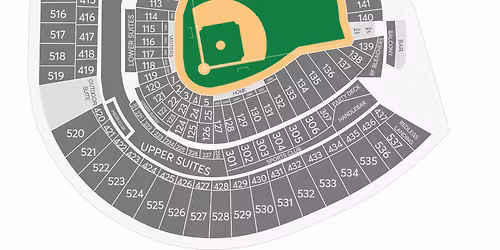 Cincinnati Reds at Tampa Bay Rays at Tropicana Field