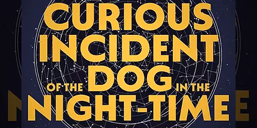 The Curious Incident of the Dog in the Night-Time