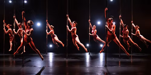 Vol en Pole & Transe en Danse - \u00c9dition 7