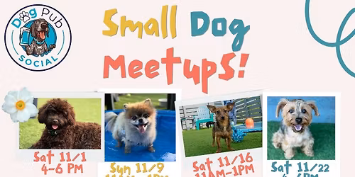 Small Dog Meetup