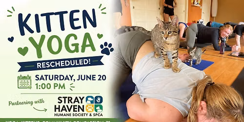 Kitten Yoga with Stray Haven Human Society 6\/20\/26 @1pm