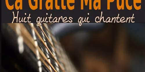 Concert du groupe "Ca gratte ma puce"