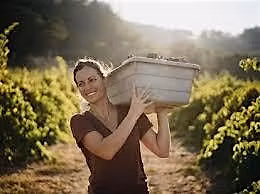 Women in Wine: The Wine Goddess to Know!