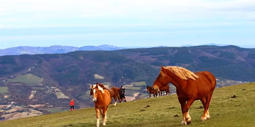 MONTE PIETRALATA, IL VERSANTE ACQUALAGNESE (Riserva del Furlo)