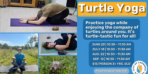 TURTLE YOGA
