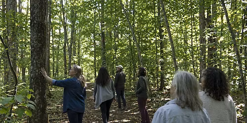 FOREST FOR ALL GATHERING