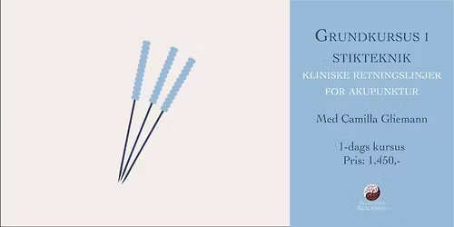 GRATIS*: Grundkursus i stikteknik