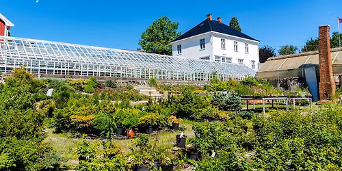 Bes\u00f8k hos gartner Axel Wiig i Mysen - fokusering p\u00e5 gj\u00f8dsel 