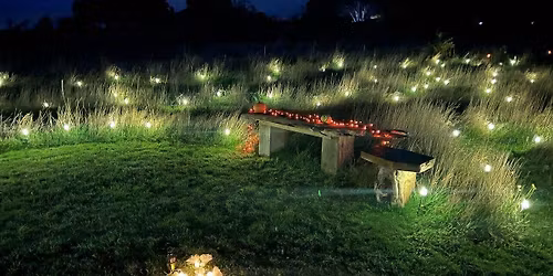 Wassailing at Forest Harvest, Woodmill