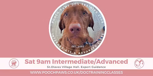 FULL Term 4 - 9am Saturday Advanced Training Class