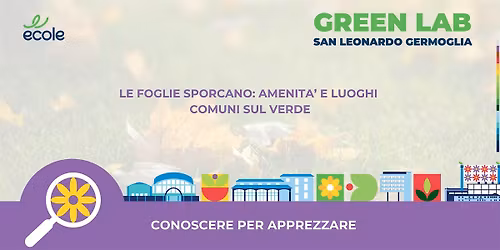 Le foglie sporcano: amenit\u00e0 e luoghi comuni sul verde