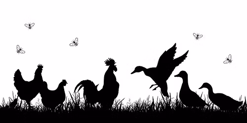 From Woods to Farm: Practical Forest Products in Action