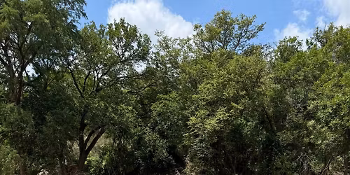 HCEM Search & Rescue Presents: Shield & Saddle 2-day MSAR Course