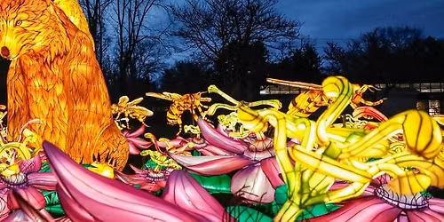 Fort Wayne Tincaps at Cedar Rapids Kernels at Veterans Memorial Stadium - IA