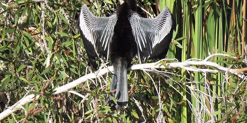 LAKES PARK BIRD PATROL LED NATURE WALK